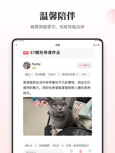 兴趣岛下载安装免费版