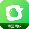 青豆网校官方下载