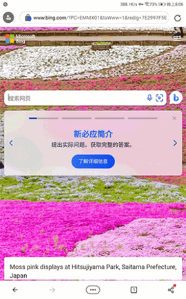 必应app免费手机版下载